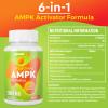 Liposomal AMPK Activator Capsules 2000 mg(2 Package),6-in-1 Formula with Quercetin Dihydrate, Resveratrol and Cinnamon Bark, for Antioxidant Support and Cellular Regulation, NO Soy,NO Gluten view 4