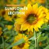 Sunflower Lecithin Powder 100g De-Oiled 97% Essential Fat Premium Quality Resealable and Recyclable Pouch by Alpha01 view 4