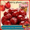 Cherry plum fruit dried fruit122g/bagcasual snacks, sweet and sour preserves, dried fruit, fruit snacks, delicious Chinese snacks gifts (5bags) view 2