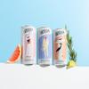 Artisan Spicy Ginger & Lime Soda Can, 250ml (Case 12) view 3