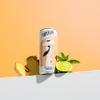 Artisan Spicy Ginger & Lime Soda Can, 250ml (Case 12) view 4