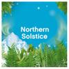 Bold Northern Solstice Washing Liquid Gel Laundry Detergent 40 Washes 1.32L, Outdoor Freshness That Lasts And Lasts view 4