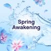 LENOR Fabric Conditioner Spring Awakening 80 Washes 2640ML view 3