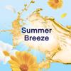 LENOR FABRIC CONDITIONER SUMMER BREEZE 80 WASHES 2460ML view 2