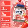 Applied Nutrition Critical Mass Professional - Weight Gain Protein Powder, High Calorie Weight Gainer, Lean Mass (2.4kg - 16 Servings) (Strawberry) view 2