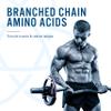 Applied Nutrition BCAA 6K (4:1:1)  6000mg Branched Chain Amino Acids per Serving - Leucine, Isoleucine & Valine, for Endurance, Performance & Recovery 300 Vegan Capsules (30 Servings) view 3