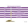One Step 10 x Vet Pet Urine Test Strips - Veterinary Animal - Cats - Dogs (2 x 5 Tests) view 2