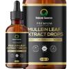Mullein Leaf Extract for Lungs | High Strength 1,000mg | 100mls 3 Month Supply (100 Servings) | Organic Plant Extract UK Grown & Produced | Mullen Drops | GMDP, MHRA, ORG Certified | Vegan view 1
