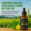 Mullein Leaf Extract for Lungs | High Strength 1,000mg | 100mls 3 Month Supply (100 Servings) | Organic Plant Extract UK Grown & Produced | Mullen Drops | GMDP, MHRA, ORG Certified | Vegan view 2