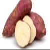 Fresh Colombian Sweet Potato I 1.5KG view 1