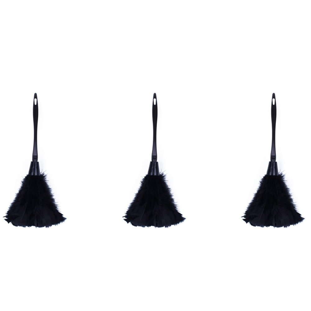 Oikabio 3Pc Fashion Turkey Duster with Black Plastic Handle Cleaning Tool(Black) 35cm