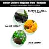 2pcs Bamboo Charcoal Deep Toothpaste, Bamboo Charcoal Toothpaste, Bamboo Charcoal deep Toothpaste, Cleaning Stains and Odour, whiten Teeth, 2pcs*100g view 3