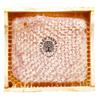 Raw Farm - Organic Raw Wildflowers Honeycomb in Wood Frame, Directly from the bee hive 250 g view 2