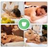 Silicon Spa Pillow - Silicone Massage Pad Face Rest Pillow | Silicone Pillow Massager Face Pillow for Home Spa, Travel, Beauty Salons view 4