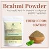 SAMYAM Brahmi Powder (Bacopa monnieri) - 1Kg Pack | for Memory, Intelligence and Concentration view 2