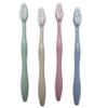 Dental Aesthetics 4 x Toothbrush Cases & 4 Adult Toothbrushes ~ Family Bulk Pack view 3