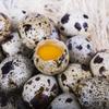 BonneBouffe Fresh Quail Eggs 6 x 18 eggs view 4