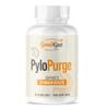 Pylopurge - Herbal Treatment for H Pylori (90 Capsules) view 1
