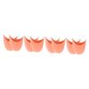 minkissy 2sets Wearable Covers Wear-Resistant Guards for Shoes Dance Pads 2pairs*2 view 1