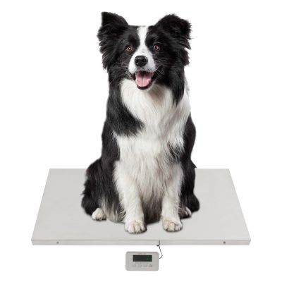 CAULO Postal Scales,Livestock Scale,w/Stainless Steel Platform 31.5 x 20.9 in,Scales Large Pet Vet Scale Platform Electronic Postal Shipping Scale