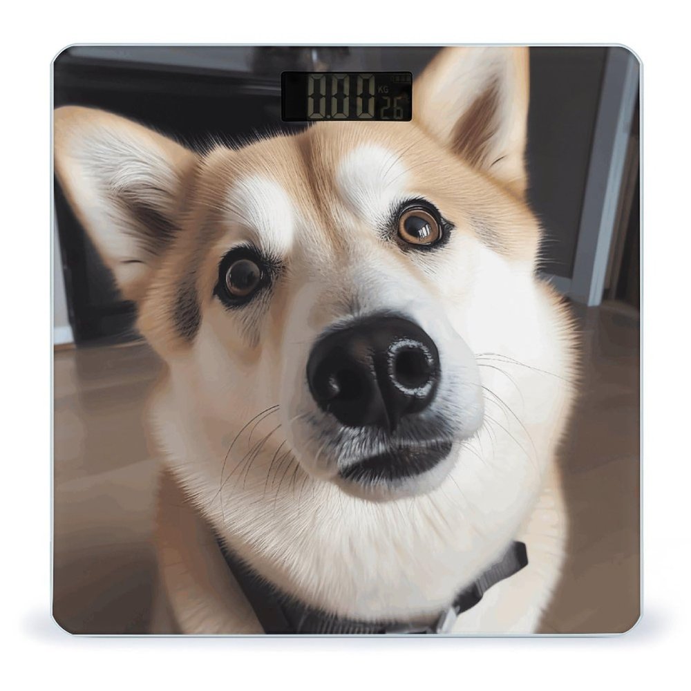 YJWANDO Scale for Body Weight, Animal Dog Photo Print Weight Scale Body Fat Scale with Accurate & Large LCD Backlight Display, style
