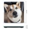 YJWANDO Scale for Body Weight, Animal Dog Photo Print Weight Scale Body Fat Scale with Accurate & Large LCD Backlight Display, style view 2