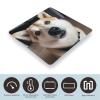 YJWANDO Scale for Body Weight, Animal Dog Photo Print Weight Scale Body Fat Scale with Accurate & Large LCD Backlight Display, style view 3