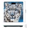 YJWANDO Scale for Body Weight, Blue Eyed Snow Leopard Print Weight Scale Body Fat Scale with Accurate & Large LCD Backlight Display, style view 2