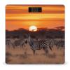 YJWANDO Scale for Body Weight, Africa Sunset Zebra Print Weight Scale Body Fat Scale with Accurate & Large LCD Backlight Display, style view 1