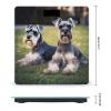 YJWANDO Scale for Body Weight, Adult Schnauzer Dogs Print Weight Scale Body Fat Scale with Accurate & Large LCD Backlight Display, style view 2