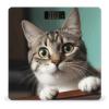 YJWANDO Scale for Body Weight, A Curious Cat Print Weight Scale Body Fat Scale with Accurate & Large LCD Backlight Display, style view 1