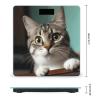 YJWANDO Scale for Body Weight, A Curious Cat Print Weight Scale Body Fat Scale with Accurate & Large LCD Backlight Display, style view 2