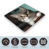 YJWANDO Scale for Body Weight, A Curious Cat Print Weight Scale Body Fat Scale with Accurate & Large LCD Backlight Display, style view 3