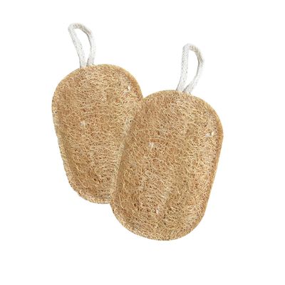 2 Pcs Kitchen Washing Up Natural Loofah Sponge Scourer, Biodegradable Non-Scratch Dish Cleaning Sponge with Hanging String (B)