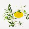 Caravella Extra Virgin Olive Oil Premium 250 ml - 100% italian - Exclusive Gourmet Collection - Cold extraction - High in polyphenols and antioxidants - Fresh harvest 2023-2024 Oil campaign view 4