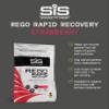Science In Sport REGO Rapid Recovery Protein Powder, Strawberry Protein Powder with Added L-Leucine, Vitamins and Minerals for Muscle Recovery, 10 Servings, 500g view 2