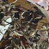 Pu-Erh tea,2020,LAO BAI CHA,357g,Raw view 4