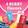 Wyler's Italian Ice I Fat Free Freezer Bars I Berry & Cherry Mix I 1oz Pack of 10 I US Import view 4