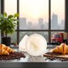 White Flannel Cloth Coffee Filter Strainers Reusable Flannel Coffee Dripper with Stainless Steel Handmade Coffee Accessories Reusable Coffee Filters Coffee Filters Coffee Machine Accessories view 4