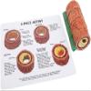 4-Piece Artery Model, Atherosclerosis Model with Plaque Build Up, Human Artery Blood Vessel Anatomy Model for Medical Science Teaching Resources. view 2
