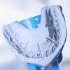 10x Disposable for Impression Trays Autoclave Perforated Trays Accessory Tool Teeth Dentist Supp Impression Trays 10 Pcs/Set Disposable Abs Blue Trays Meet Different view 4