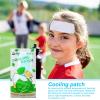 Opilroyn Cooling Pads for Kids, Patches for Adults | Fruit Scent Kids Ice Pack, Soft Small Ice Packs for Kids, Cool Patches, Forehead Cooling Patches, for Discomfort view 2