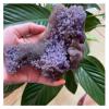 EKFBQBGW Natural Grape Agate Crystal Home Decor Decoration Home Collections (Size : 80-100g) view 3