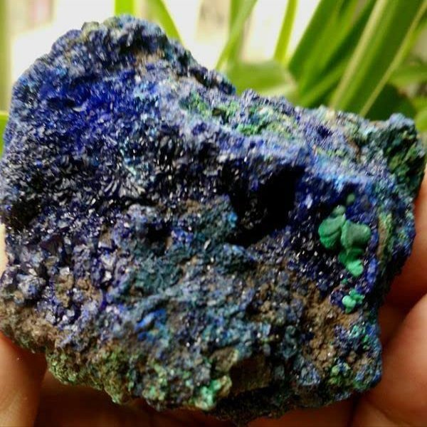 EKFBQBGW Natural Crystal Rough F2673 Natural Blue Azurite Crystal with Green Malachite 274g Home Collections