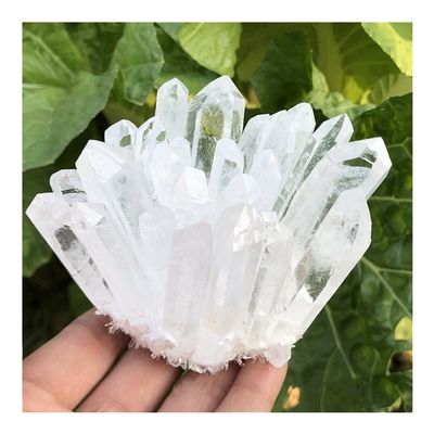 1pc Natural Crystals Clear Quartz Freeform Stones Room Home Office Aquarium Decoration Accessories Gemstone (Size : 700-750g) Raw stones and minerals (Size : 700-750g) Home Collections ( Size : 500-55
