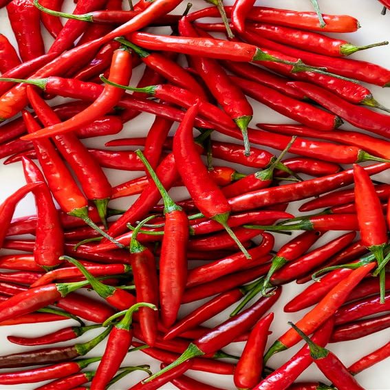 Fresh Red Chillies I Small I 200G