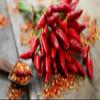 Fresh Red Chillies I Small I 200G view 4