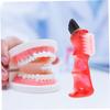 Beaupretty Mini Denture Toothbrush 3pcs Set, Portable Double-Sided Denture Cleaning Brush for Adults, Personal Small Toothbrush for False Teeth Care at Home and Travel view 3