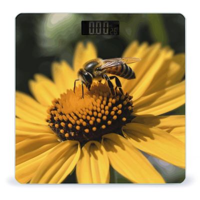 YJWANDL Scale for Body Weight Yellow Flower with Black Bee Print Weight Scale Digital Scale Body Fat Scale Weight Scale LCD Scale Slim Scale, style