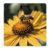 YJWANDL Scale for Body Weight Yellow Flower with Black Bee Print Weight Scale Digital Scale Body Fat Scale Weight Scale LCD Scale Slim Scale, style view 1